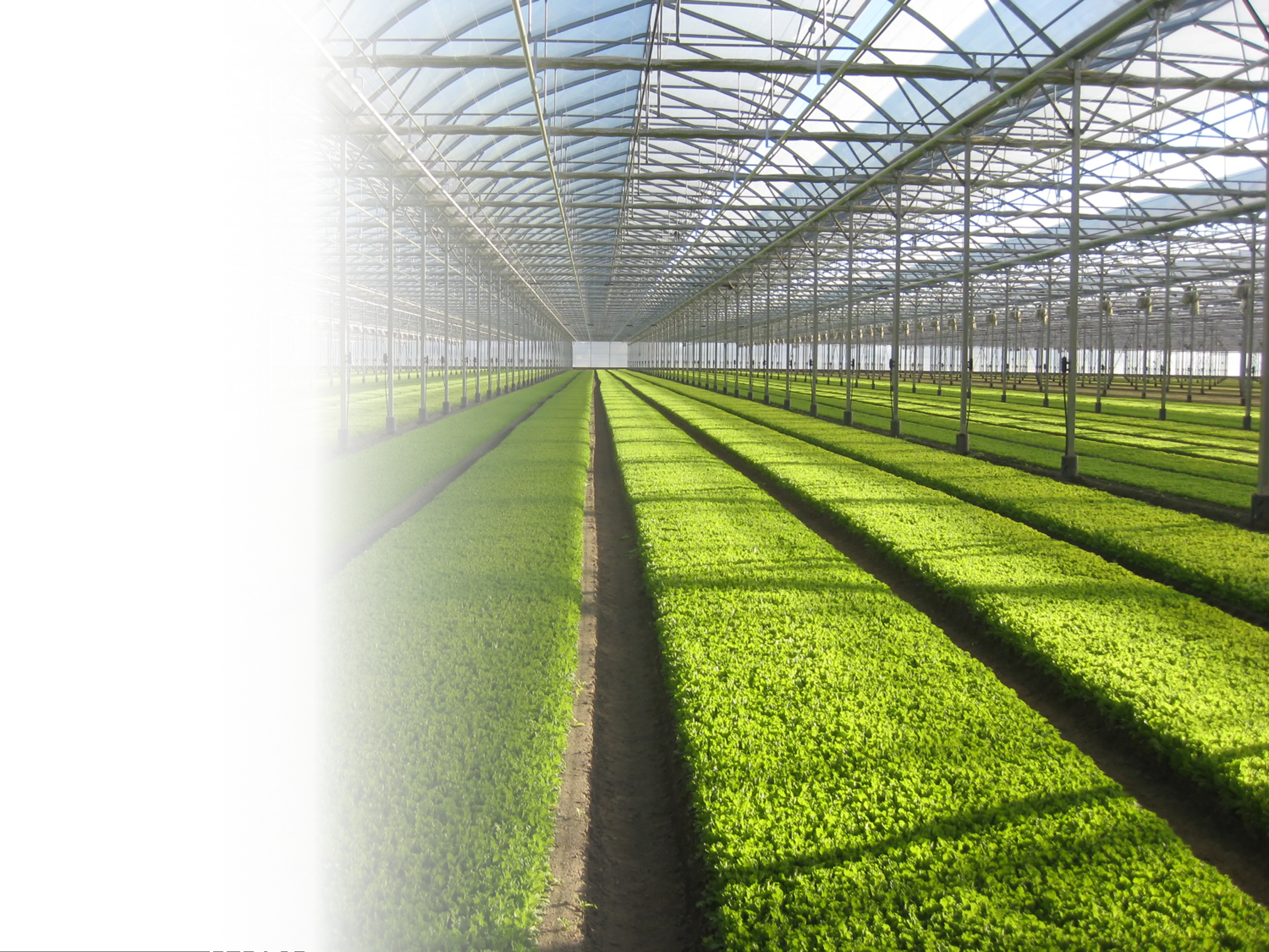 IsiJet products