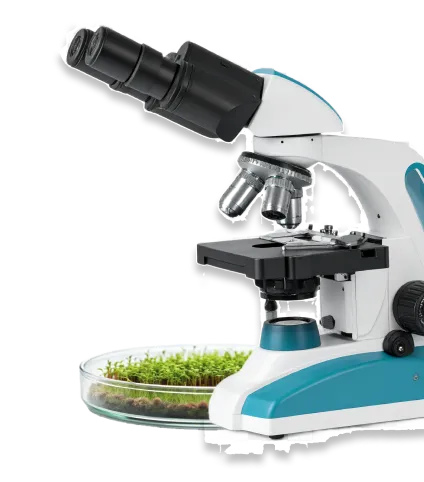 Microscope image