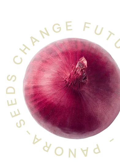 Onion image