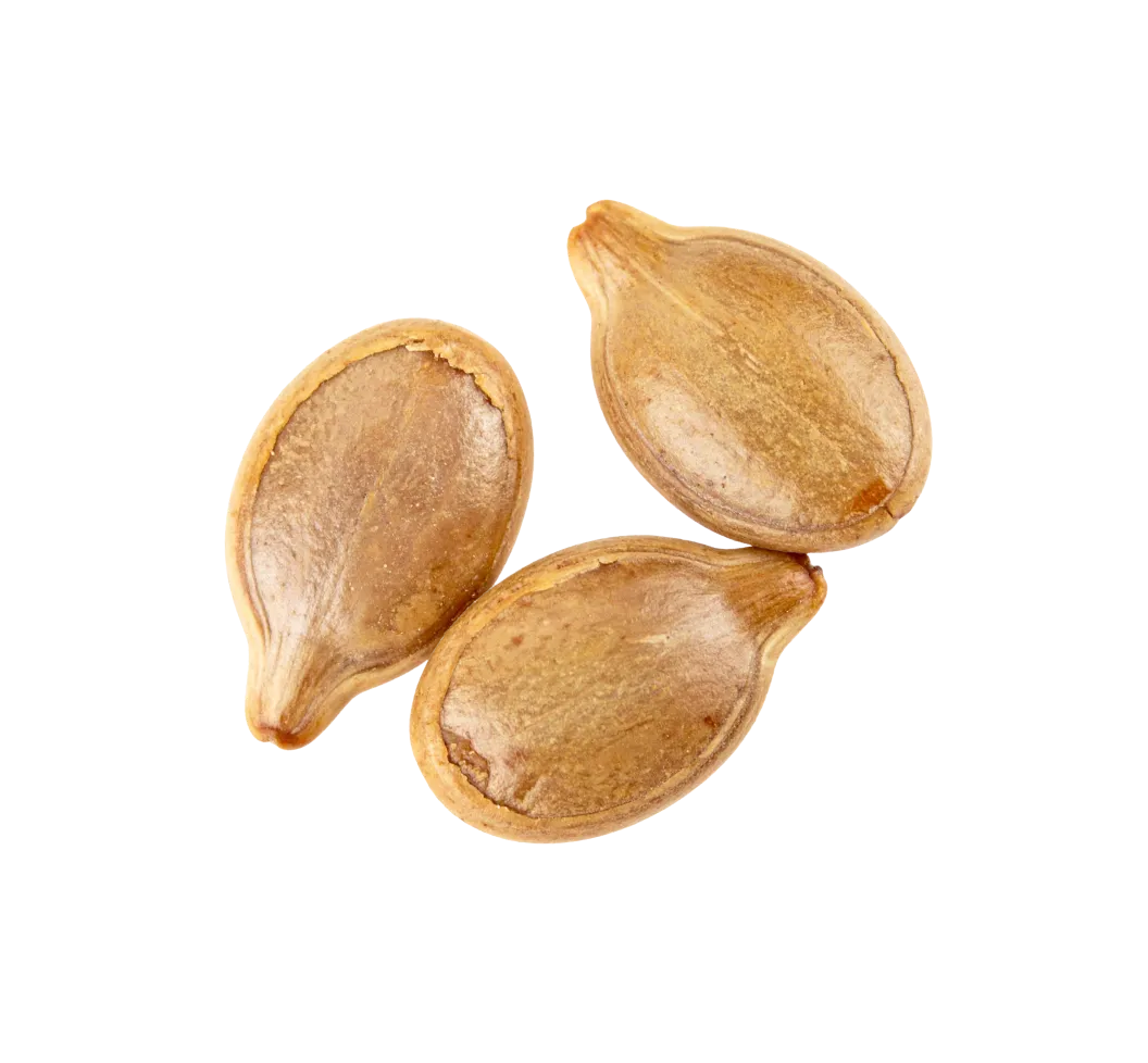 Tomato seed image
