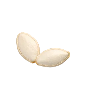 Zucchini seeds